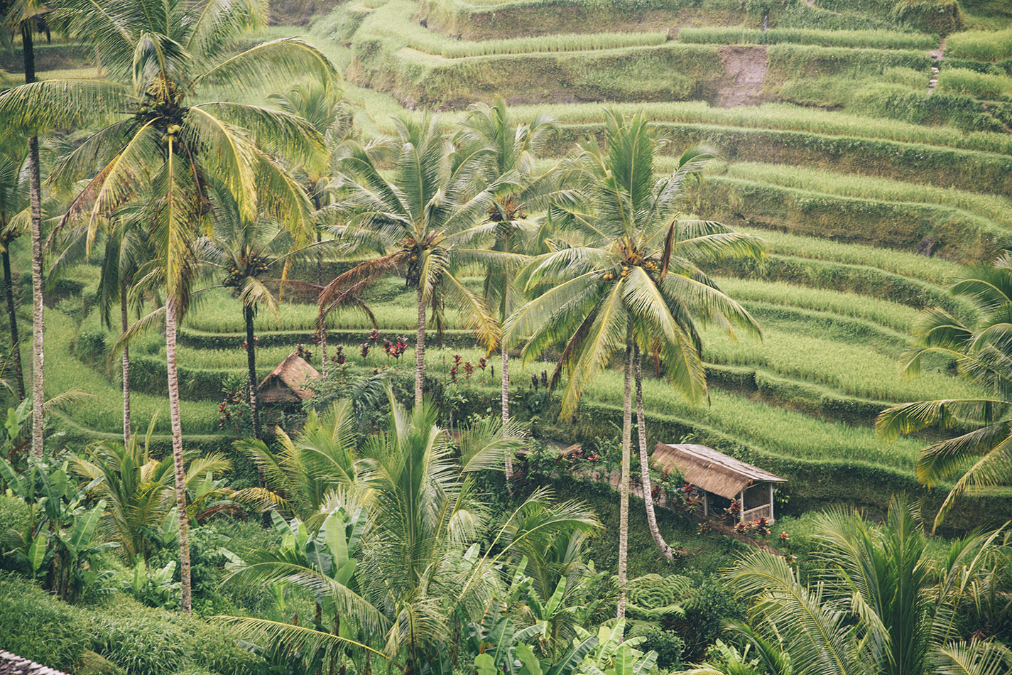 Bali-Singles-032